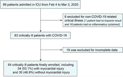 High Inflammatory Burden: A Potential Cause of Myocardial Injury in Critically Ill Patients With COVID-19